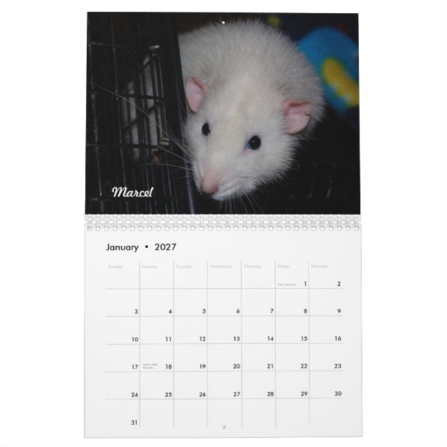 Mural Rat du jour, heu, calendrier de mois (Jan 2027)