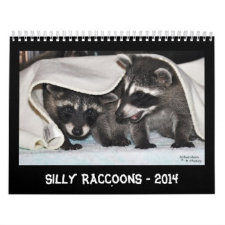 Mural Ratons laveurs idiots - calendrier 2014