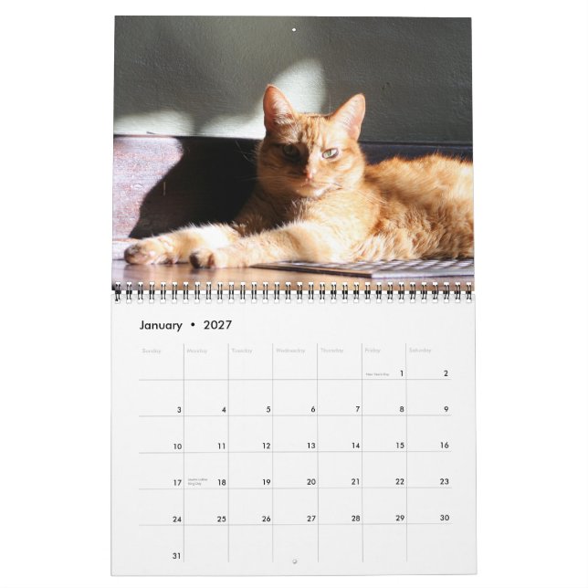 Mural Sa Majesté le calendrier du chat 2013 (Jan 2027)