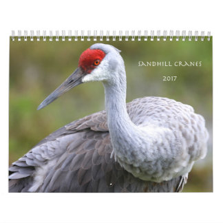 Mural Sandhill tend le cou le calendrier 2017