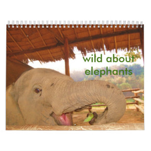 Mural sauvage au sujet du calendrier d'éléphants