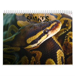 Mural Serpents 16 mois de calendrier