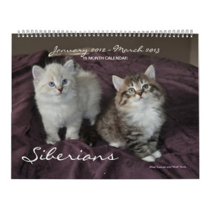 Mural Sibérie Chats Kittens 2012 - Calendrier 2013