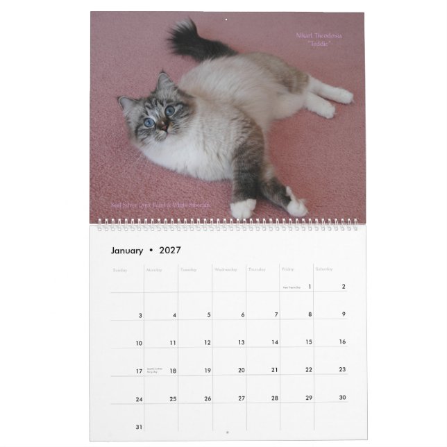 Mural Sibérie Chats Kittens 2012 - Calendrier 2013 (Jan 2027)