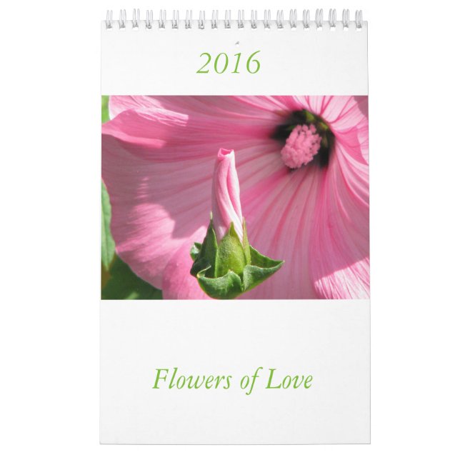 Mural Simbols de calendrier de fleur d'amour (Protection)