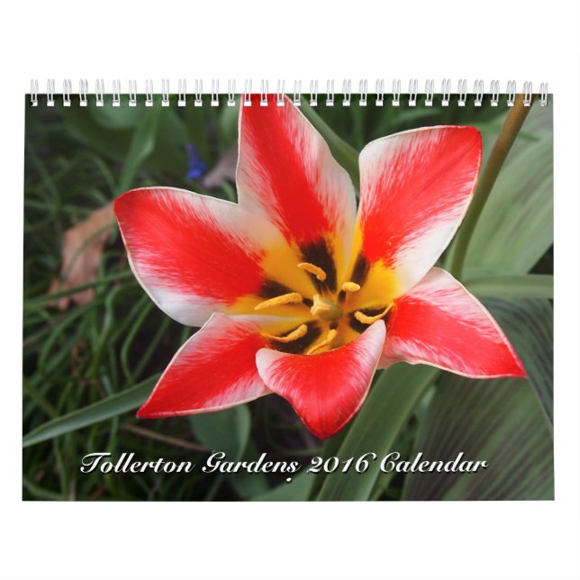 Mural Tollerton fait du jardinage le calendrier 2016 (Protection)