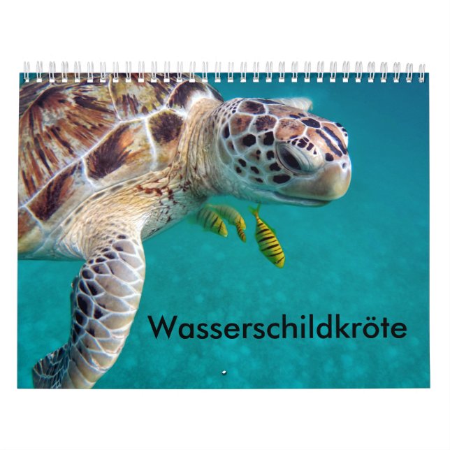 Mural Tortues d'eau de calendrier (Protection)