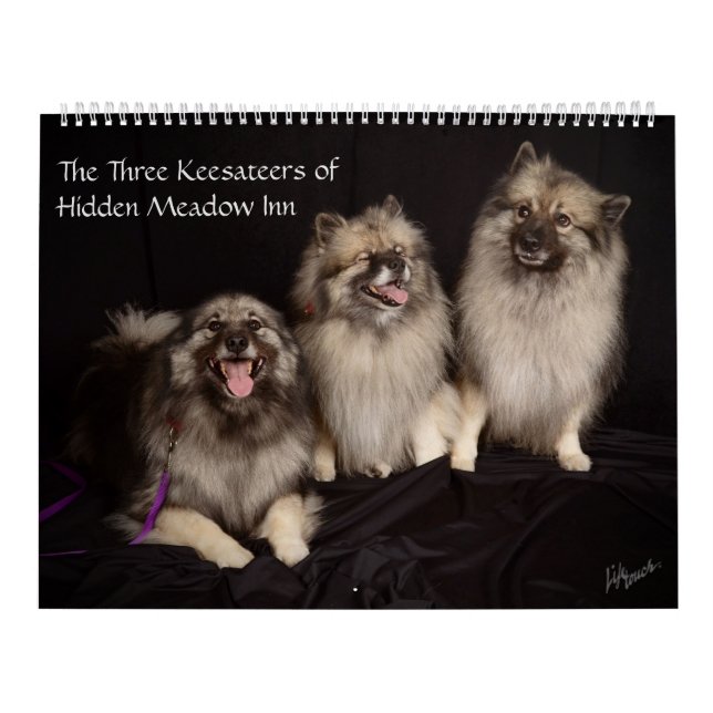 Mural Trois gardiens du calendrier de Hidden Meadow Inn (Protection)