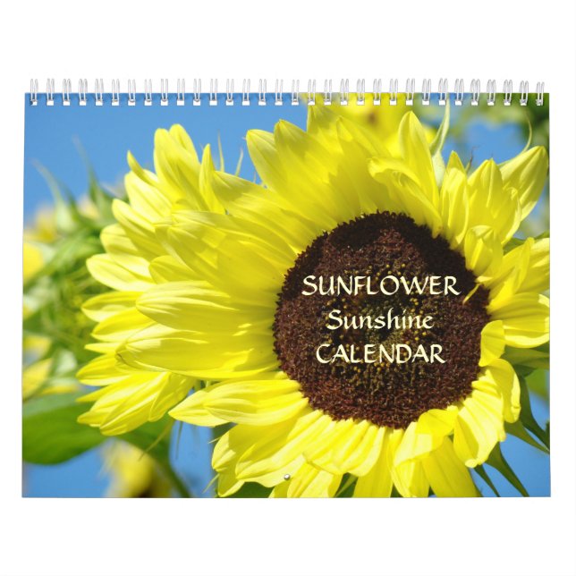 Mural TURNESOLS CALENDRIER ENSOLEILLEMENT Fleurs de Sole (Protection)