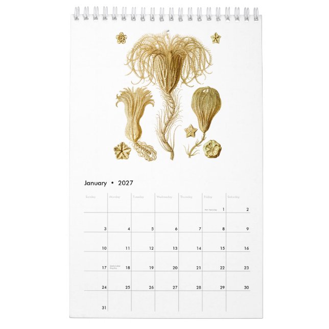 Mural Un calendrier de quelques dessins d'Ernst Haeckel (Jan 2027)