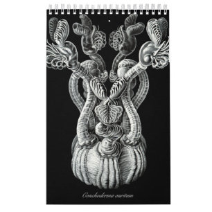 Mural Un calendrier de quelques dessins d'Ernst Haeckel