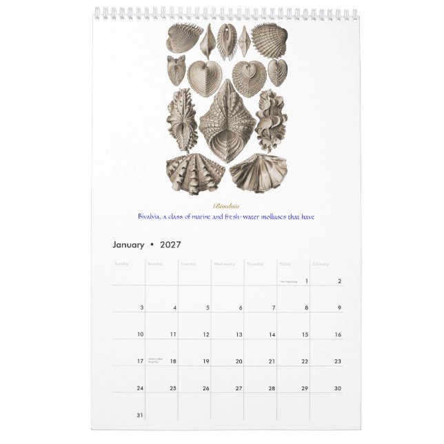 Mural Un calendrier des dessins de coquille d'Ernst (Jan 2027)