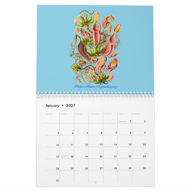 Mural Un calendrier des plantes d'Ernst Haeckel (Jan 2027)