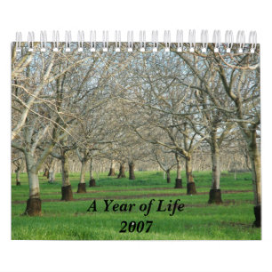 Mural Une année du calendrier 2007 de la vie