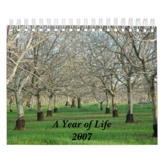 Mural Une année du calendrier 2007 de la vie
