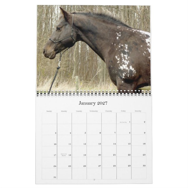 MURAL VOUS AVEZ DES POINTS ? CALENDRIER APPALOOSA 2011 (Jan 2027)