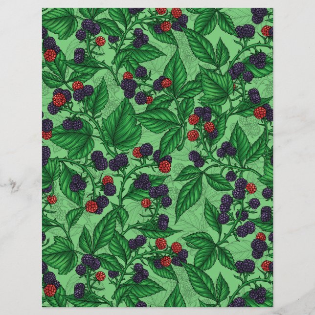 Mûres sur fond vert (Devant)