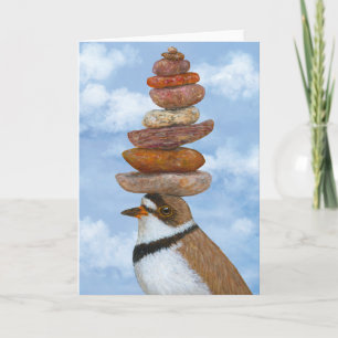 Murray la carte semipalmée du pluvier