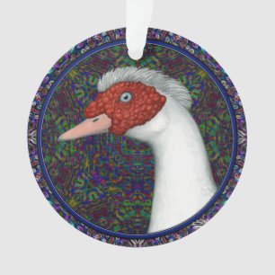Muscovy Duck Head