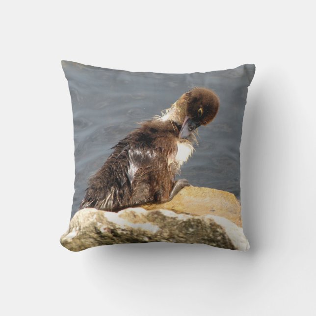 Muscovy Duckkling Coussin (Recto)
