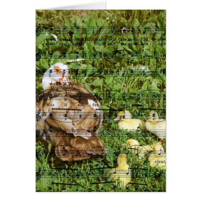 Muscovy Hen et canettes avec chansons de canard (Devant)