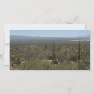 Musée du désert de Sonora