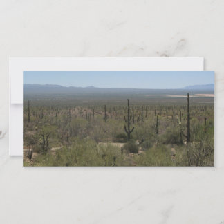 Musée du désert de Sonora