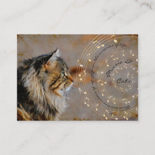 Musique et cartes de visite de chats