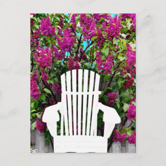 Muskoka / Adirondack Chaises & Lilac Carte Postale