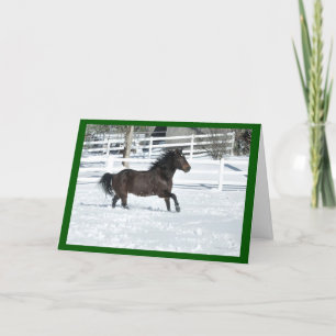 Mustang Horse Coureur saison des neiges Carte de v