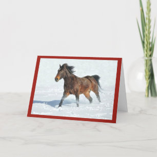 Mustang Horse Courir Carte Joyeuses Fêtes Neige