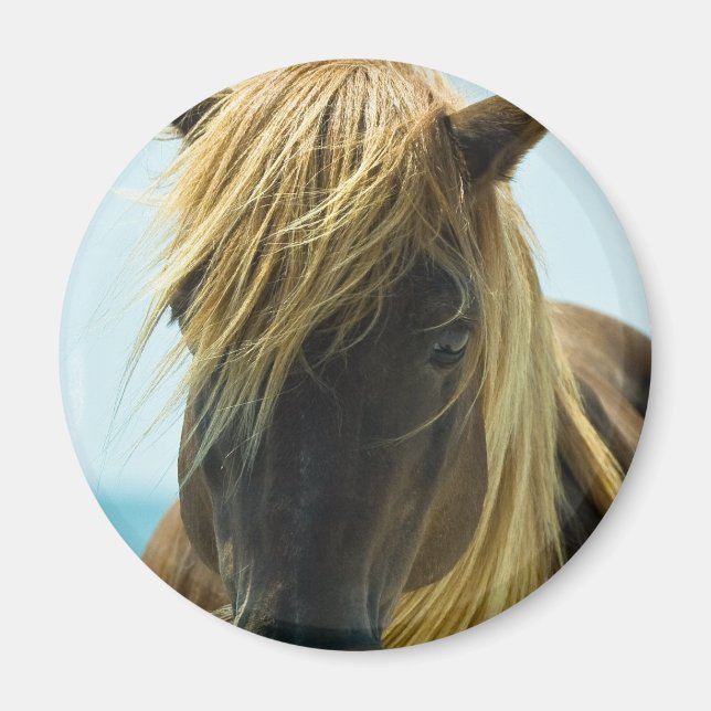 Mustang Magnet (Devant)