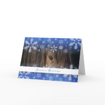 Mustang noir - carte des vacances 5x7