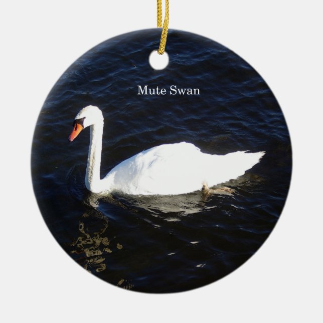 Mute Swan ornement (Devant)