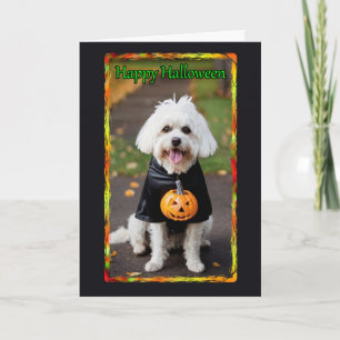 Mutt blanc en costume Carte d'Halloween