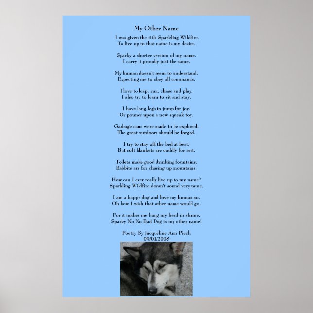 My Other Name Poetry Poster (Devant)