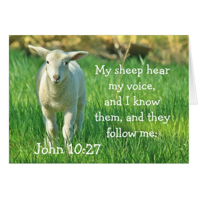 My Sheep Hear My Voice, John 10:27 Card (Devant horizontal)