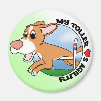 My Toller Love Agility Magnet