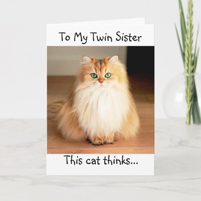"MY TWIN" EST LA BONNE CARTE D'ANNIVERSAIRE "CAT'S (Devant)