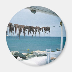 Mykonos, aimant de la Grèce