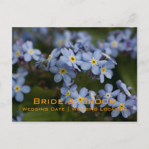 Myosotis • Sauvez la carte postale de date