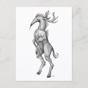 Myrmedeer - Carte postale