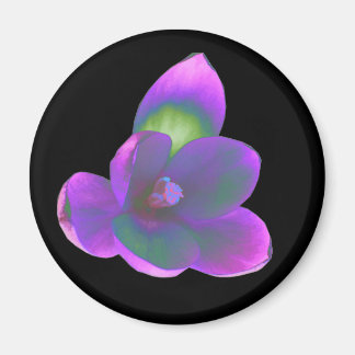 Mystic Beauté Crocus aimant à fleur