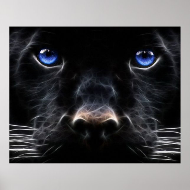 Mystical Blue Eyed Cat Poster (Devant)