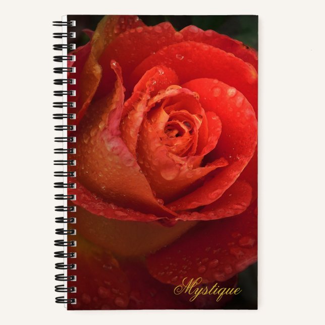 Mystique Dark Botanical Red Orange Rose Journal (Recto)