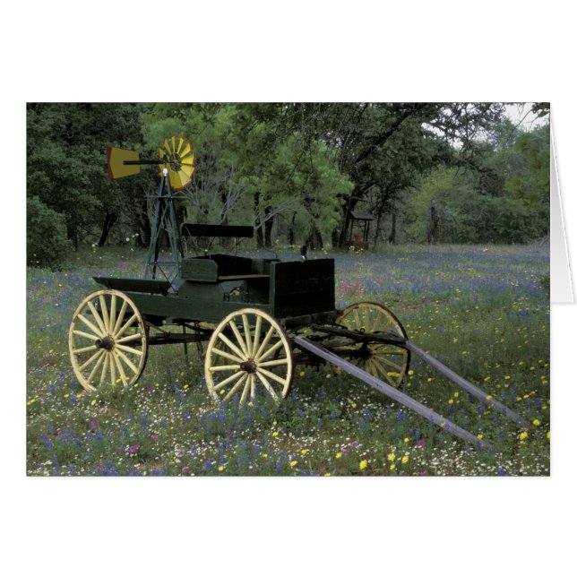 N.A., États-Unis, Texas, Devine, Vieux chariot et (Devant horizontal)