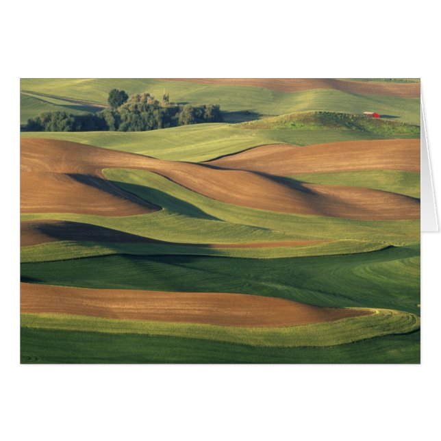 N.A., États-Unis, Washington, comté de Whitman. (Devant horizontal)
