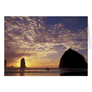 NA, États-Unis, Oregon, côte de l'Oregon, Canon Be
