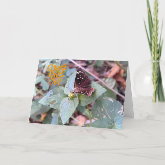 N'abandonnez jamais la carte de voeux papillon vid