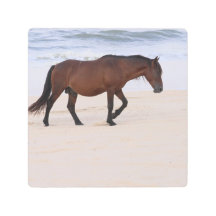 Nag sur la plage, Outer Banks Caroline du Nord